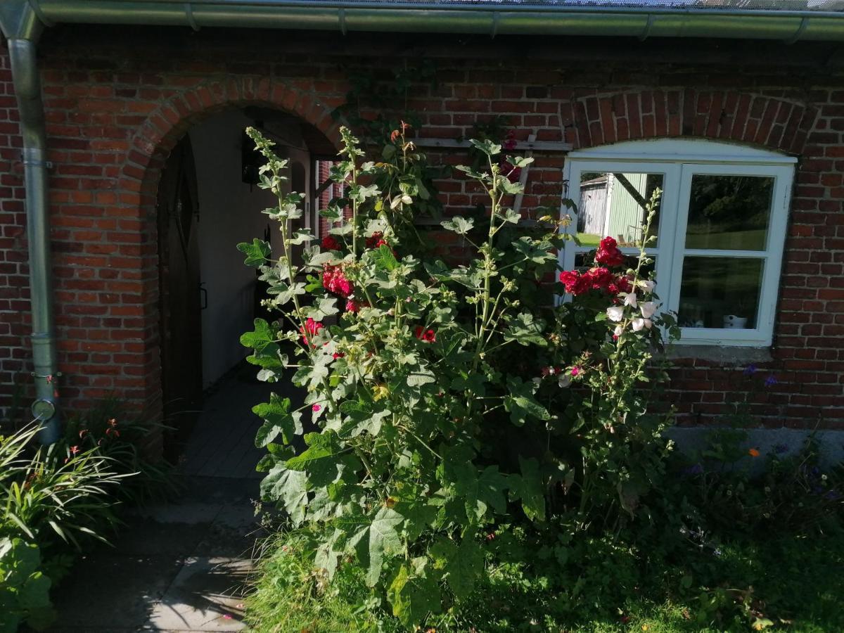 FW Achterdeck, Petershof-Lehbek Appartement Gelting Buitenkant foto